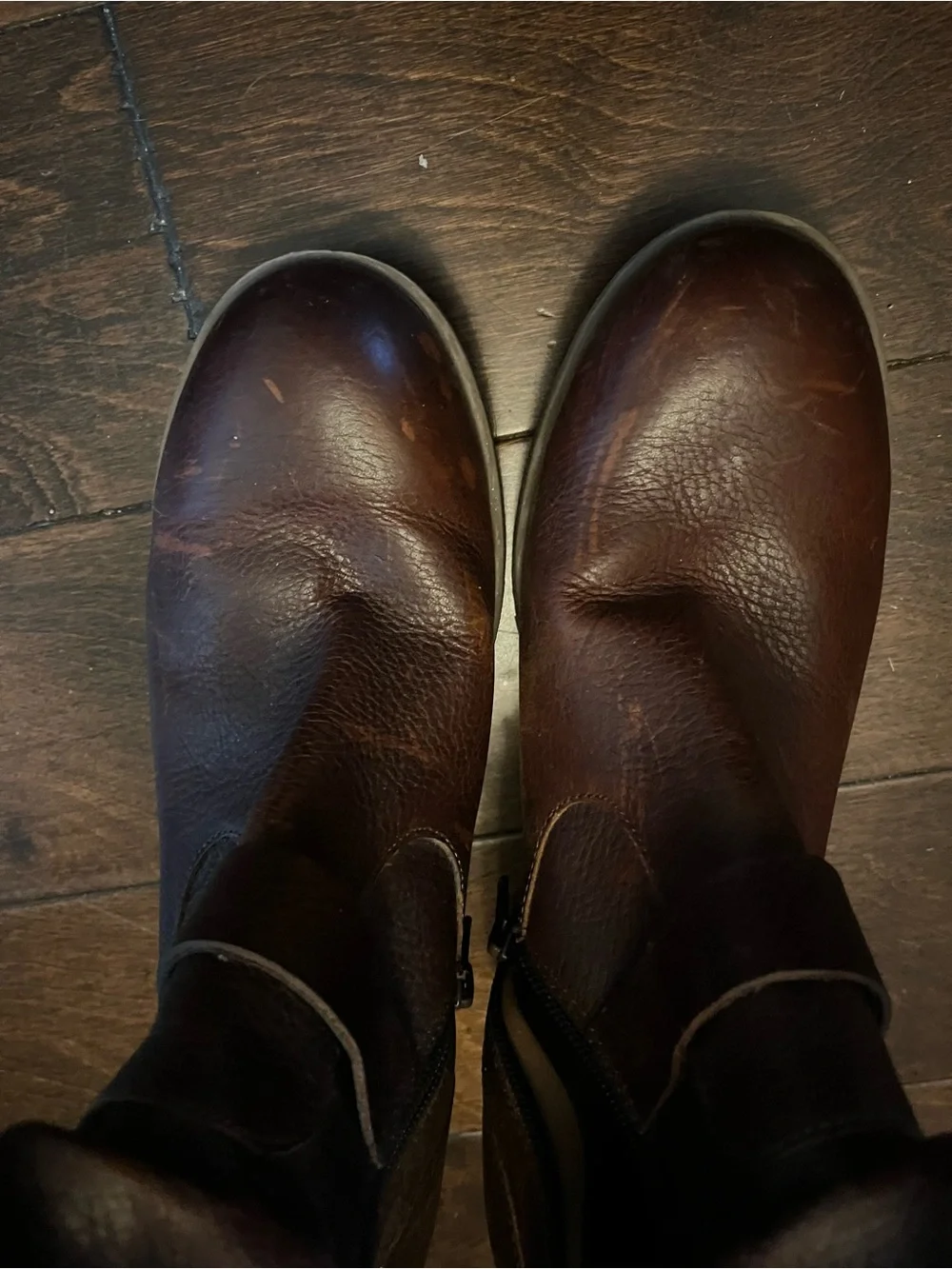 Korks moto bootie brown sz 9 1/2